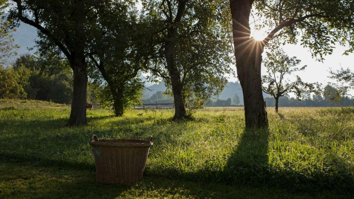 Bauernhof Lindenhof Bed & Breakfast Scheffau am Wilden Kaiser Eksteriør bilde